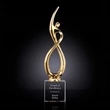 Continuum Award on Optical - Gold