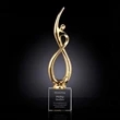 Continuum Award on Optical - Gold