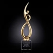 Continuum Award on Optical - Gold