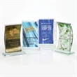 Starfire Fusion Award