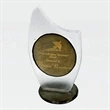 Fusion Frost Award