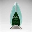 Aquarius Award