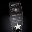 Radiance Award - Barrel