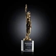 Supremacy Award on Optical