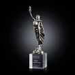 Supremacy Award on Optical