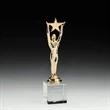 Star Achievement Award on Optical