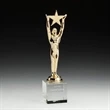 Star Achievement Award on Optical