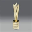 Shooting Star Award