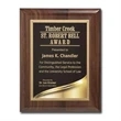 Liquid Gold Plaque