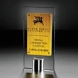 Mondrian Amber Award