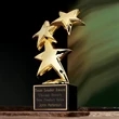 Constellation Award