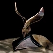 Intrepid Award