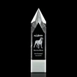 Coventry 3D Award - White