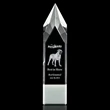 Coventry 3D Award - White