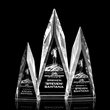 Salisbury Award - 3D
