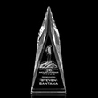 Salisbury Award - 3D