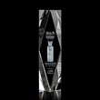 President 3D Award