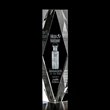 President 3D Award