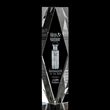 President 3D Award