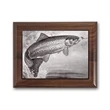 Metal Photo Plaq - Walnut Piano Finish
