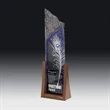 Oceania Award