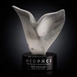 Upsurge Award