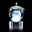 Apple Award on Paragon
