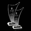 Reading Award