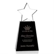 Pioneer Star Award