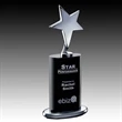 Mendocino Award