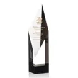 Vertex Award - Black