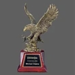 Pacific Eagle Award