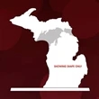 State Map Award -  Michigan