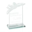 Jet Fighter Award