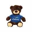 Perry the Teddy Bear (with T-Shirt)