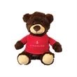 Perry the Teddy Bear (with T-Shirt)