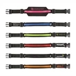 Sprinter Running Belt