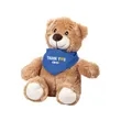 Chester the Teddy Bear (with Bandana)