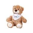 Chester the Teddy Bear (with Bandana)