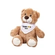 Chester the Teddy Bear (with Bandana)