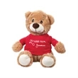 Chester the Teddy Bear (with T-Shirt)