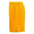 C2 Sport Women's Mesh Shorts