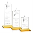Bryanston Star Award - Amber