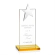 Bryanston Star Award - Amber