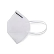 KN95 Disposable Face Mask - Direct Import