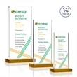 Arizona VividPrint™ Award - Amber