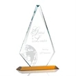 Windsor Award - Amber