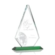 Windsor Award - Green