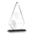 Windsor Award - Black
