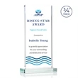 Arizona VividPrint™ Award - Clear